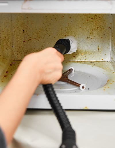EverSteam cleaning use case